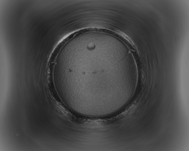 X0000085820926200703231353