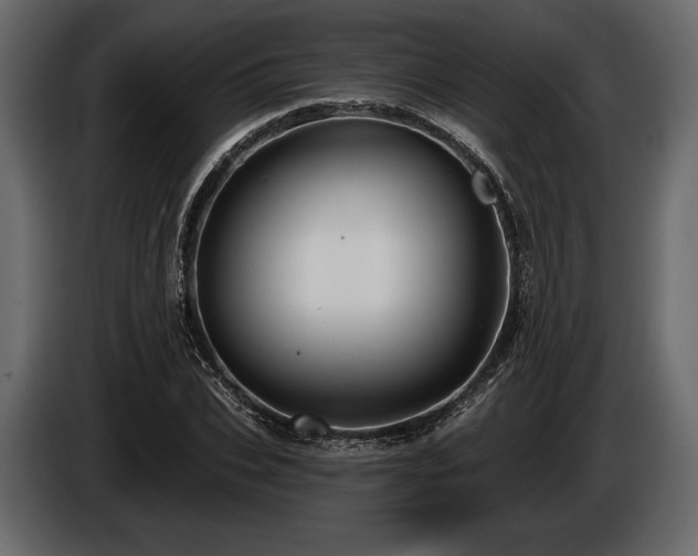 X0000085820927200703231353
