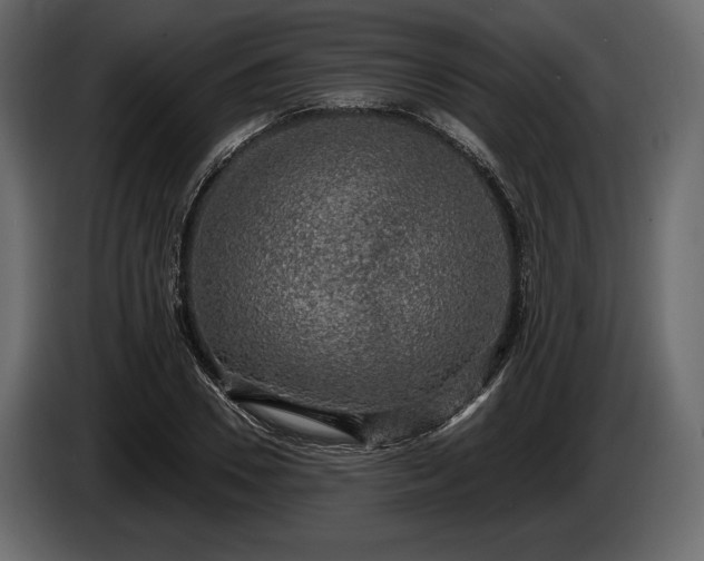 X0000085820930200703231353