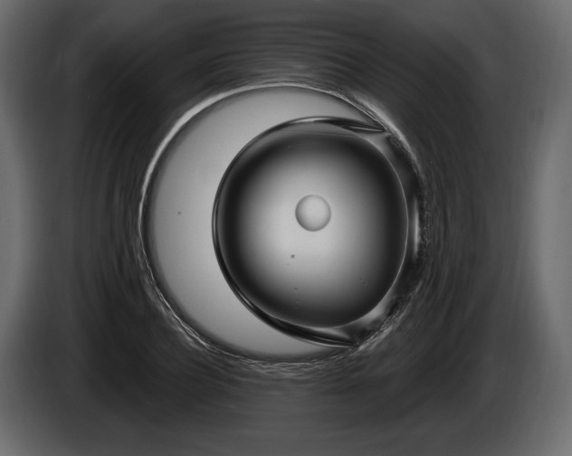 X0000085820932200703231353