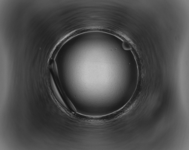 X0000085820933200703231353