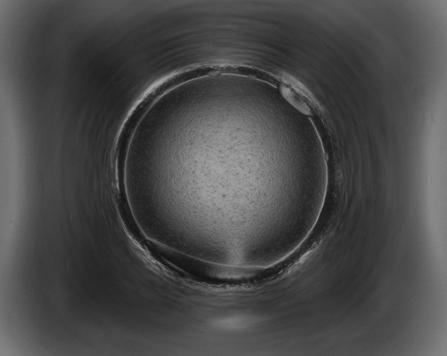 X0000085820934200703231354