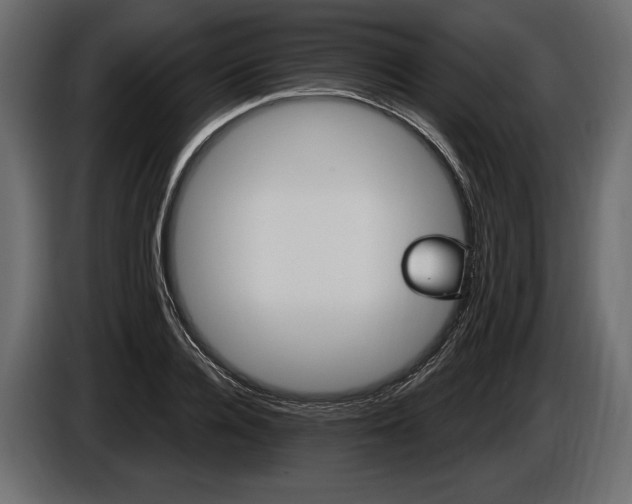 X0000085820936200703231354