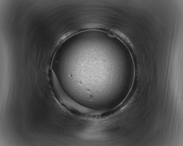 X0000085820937200703231354