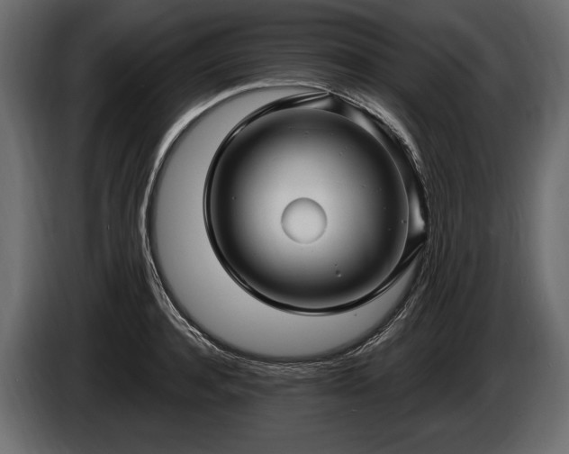 X0000085820944200703231354