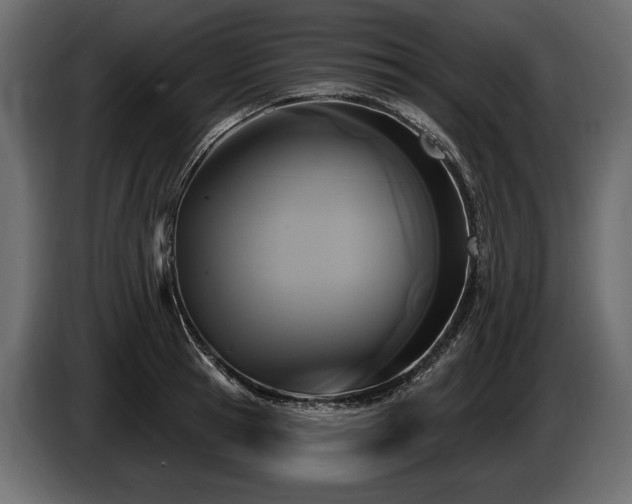 X0000085820945200703231354