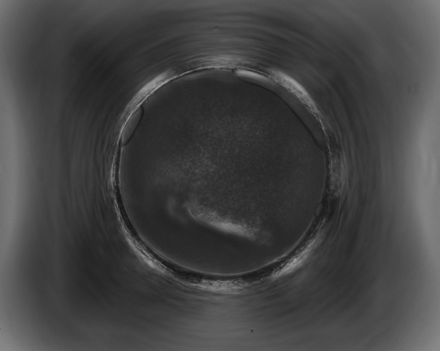 X0000085820946200703231354