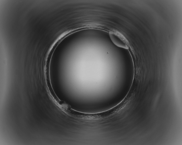 X0000085820947200703231354