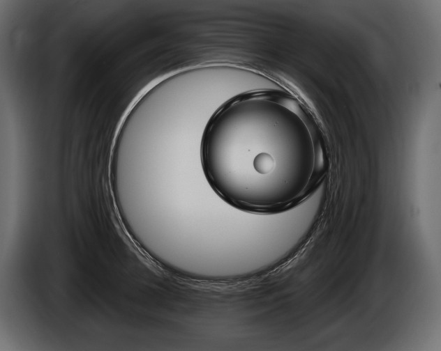 X0000085820948200703231354