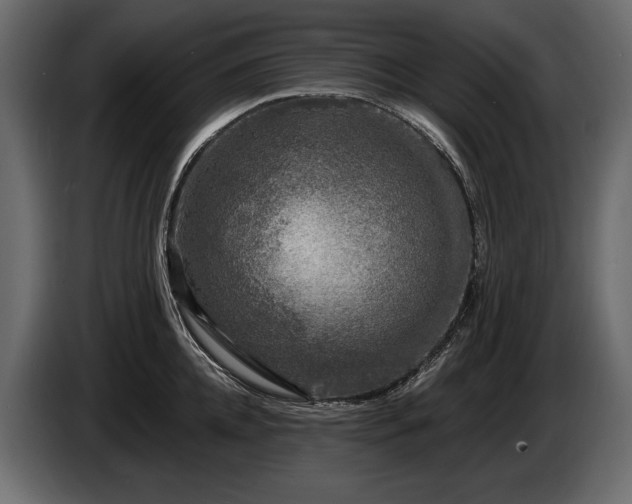 X0000085820952200703231354