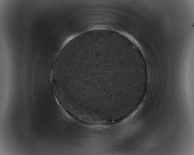 X0000085820953200703231354