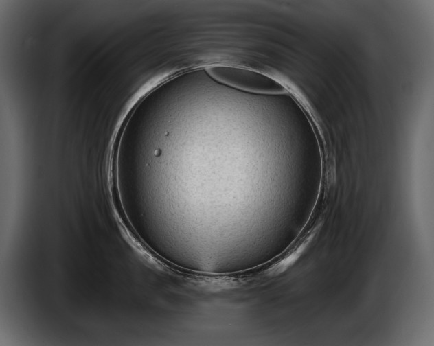 X0000085820957200703231354