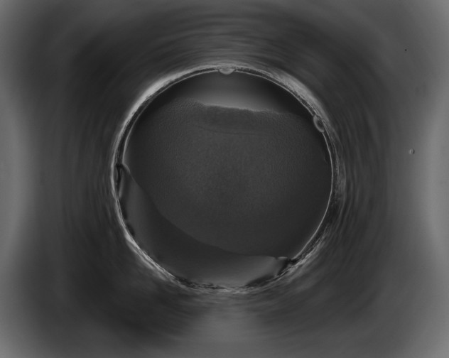 X0000085820958200703231354