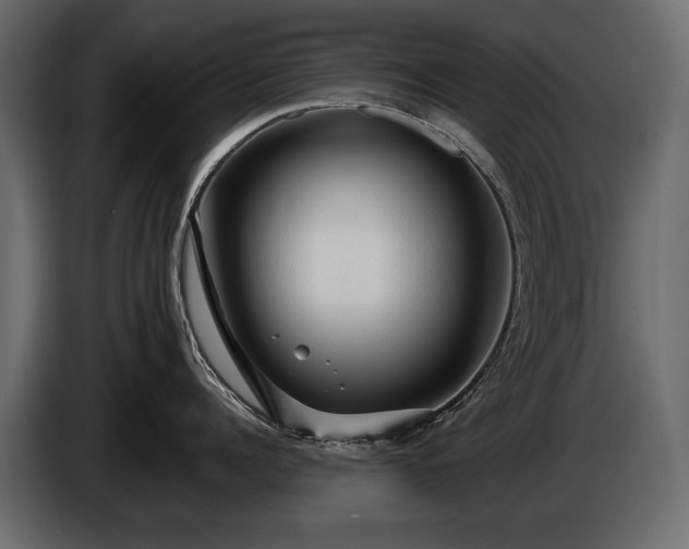 X0000085820960200703231354