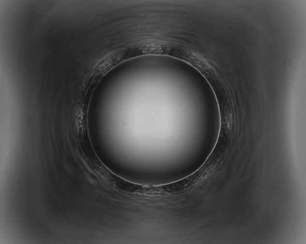 X0000085820964200703231353