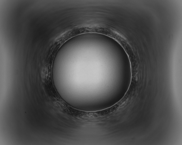 X0000085820966200703231353