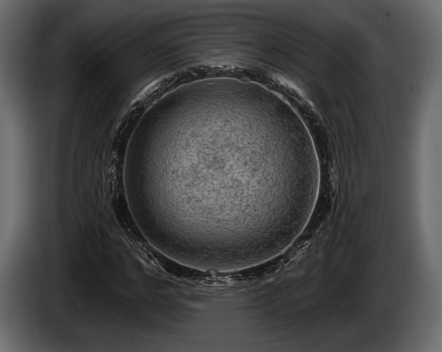 X0000085820968200703231353