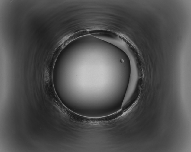 X0000085820969200703231353