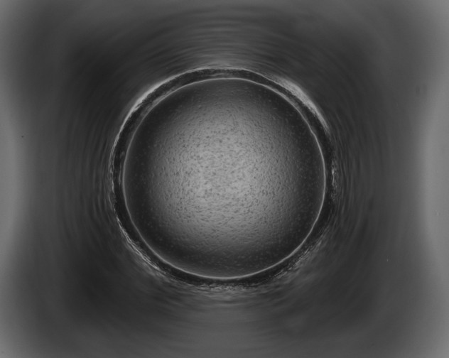 X0000085820972200703231353