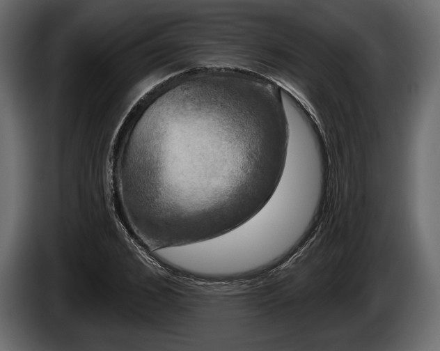 X0000085820976200703231353