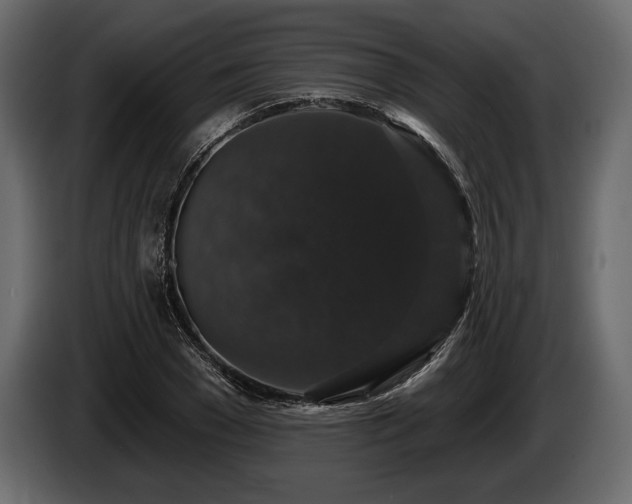 X0000085820977200703231353