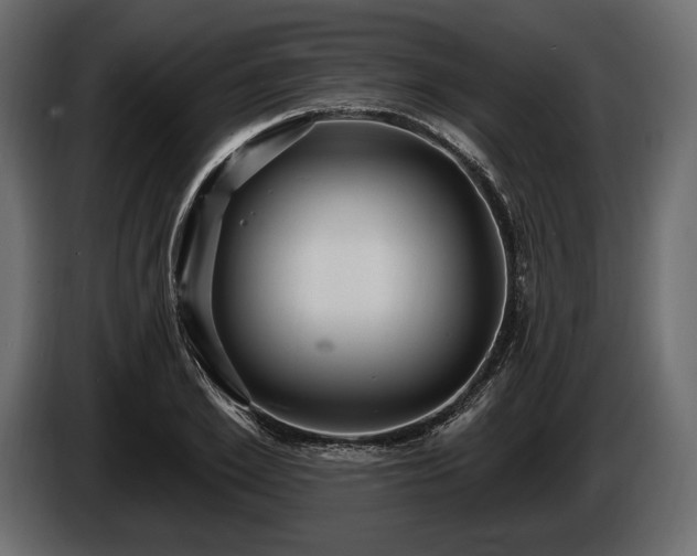 X0000085820981200703231353