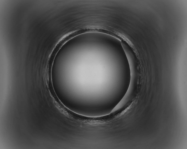 X0000085820984200703231353