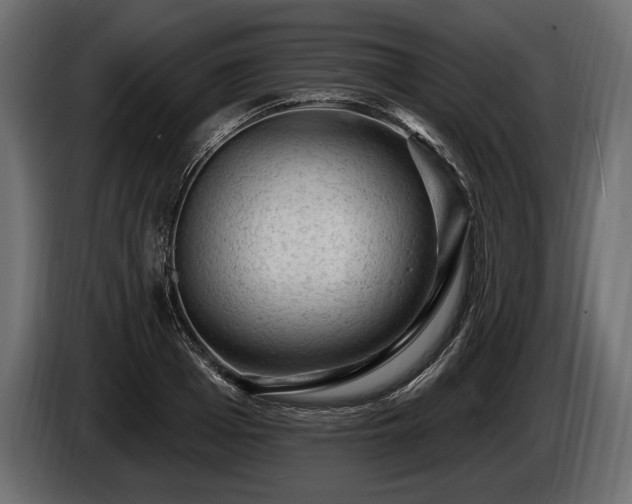 X0000085820985200703231353