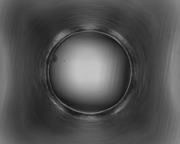 X0000085820986200703231353