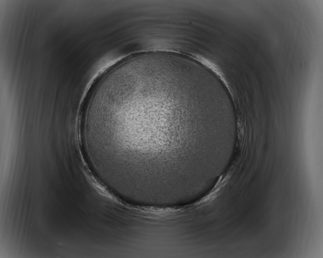 X0000085820987200703231353
