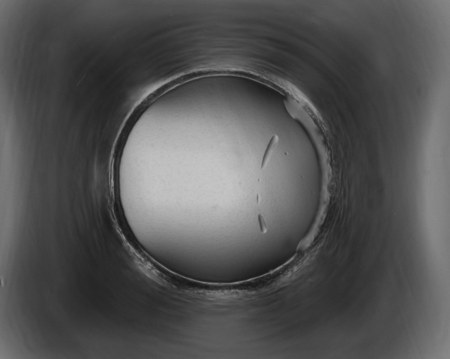 X0000085820988200703231353