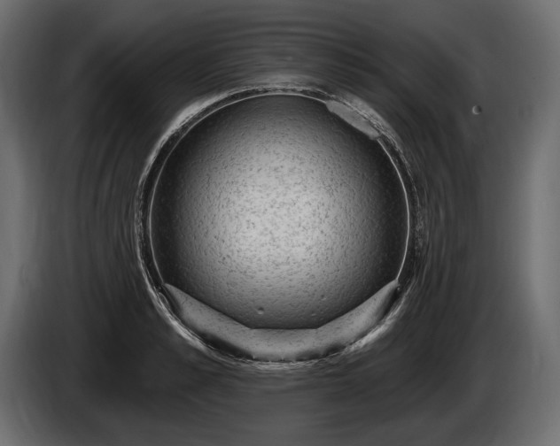 X0000085820989200703231353