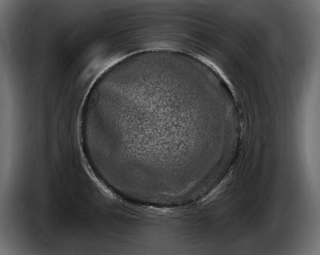 X0000085820991200703231353