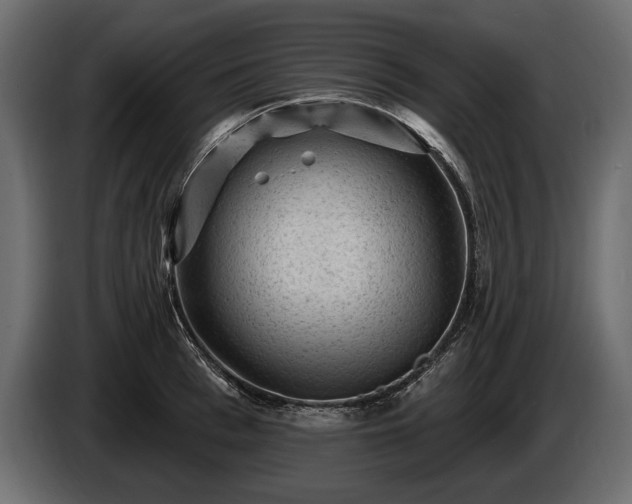 X0000085820993200703231353
