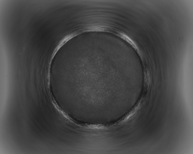 X0000085820994200703231353