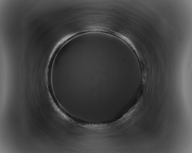 X0000085820995200703231353