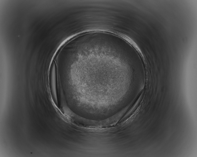 X0000085820996200703231353