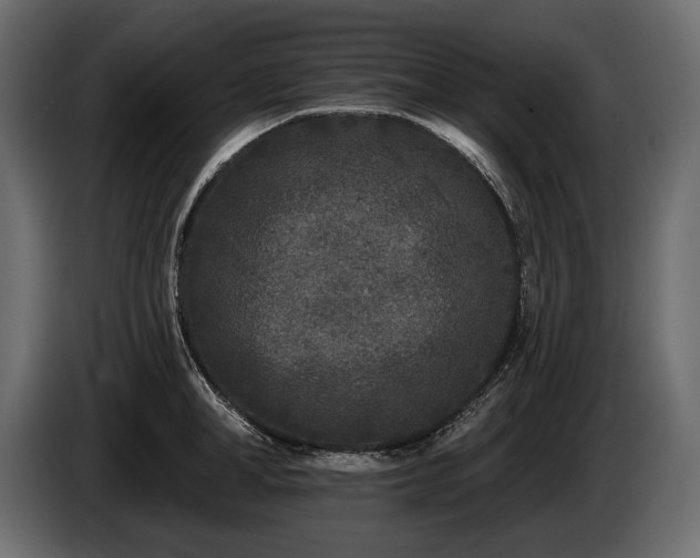 X0000085820998200703231353