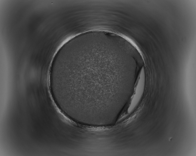 X0000085820999200703231353
