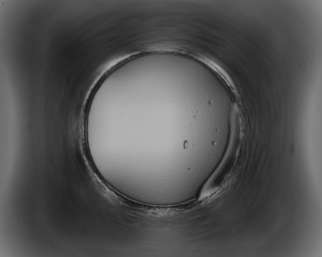 X0000085821000200703231353