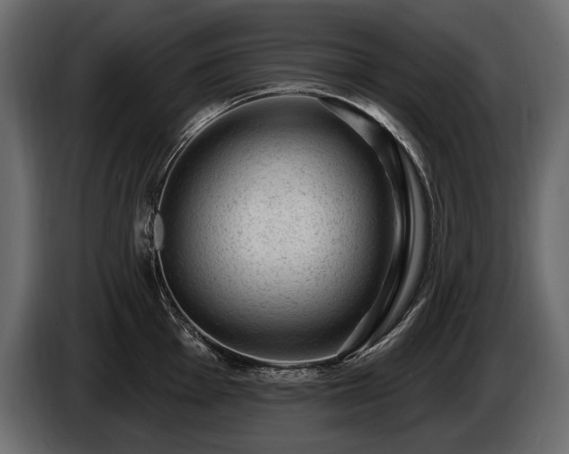X0000085821001200703231353