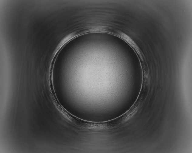 X0000085821002200703231353