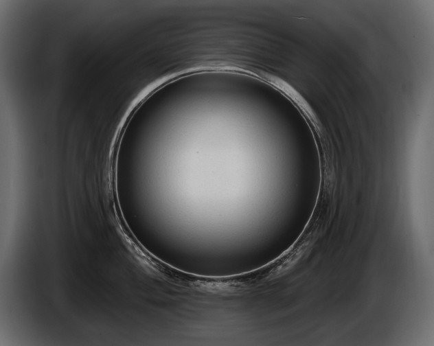 X0000085821004200703231353