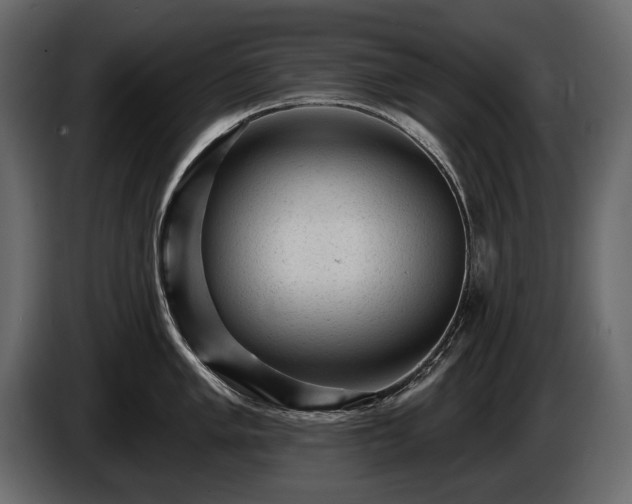 X0000085821005200703231353
