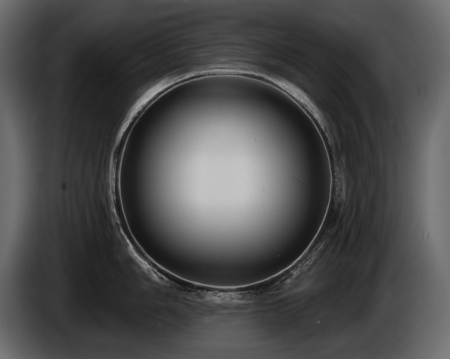 X0000085821006200703231353