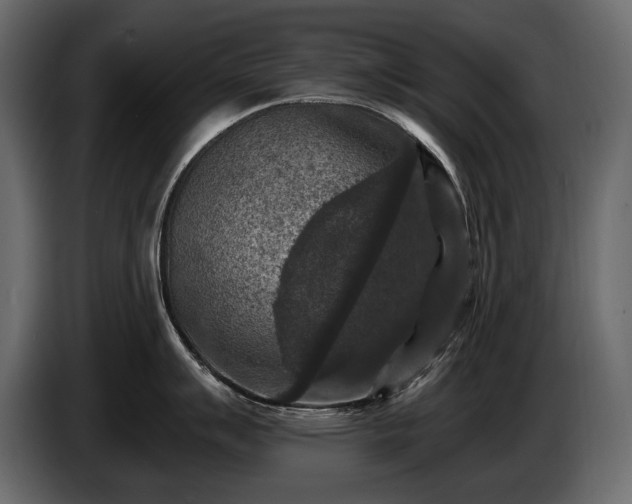 X0000085821007200703231353