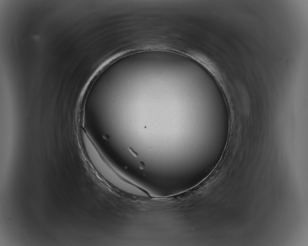 X0000085821008200703231353
