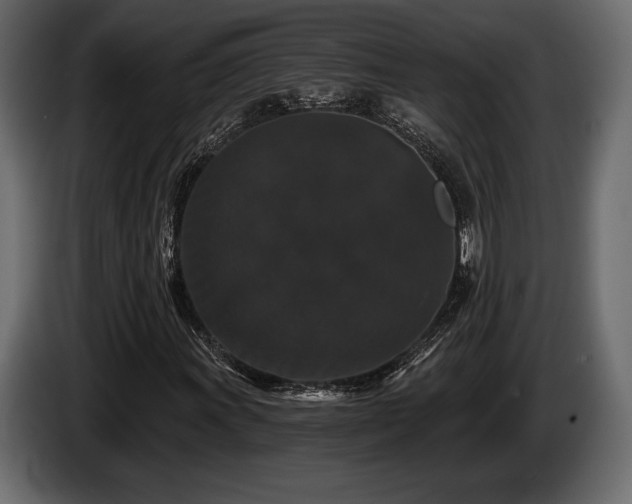 X0000085821011200703231352