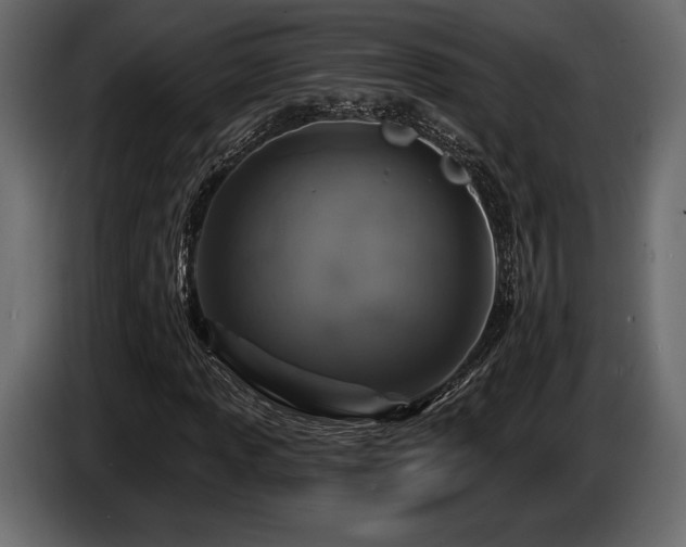 X0000085821013200703231352