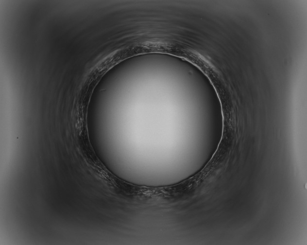 X0000085821015200703231352